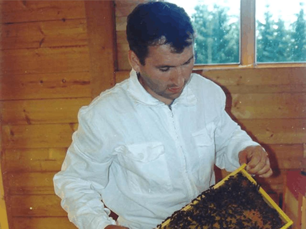 Imker im weißen Schutzanzug hält eine mit Bienen besetzte Honigwabe in den Händen und begutachtet sie.