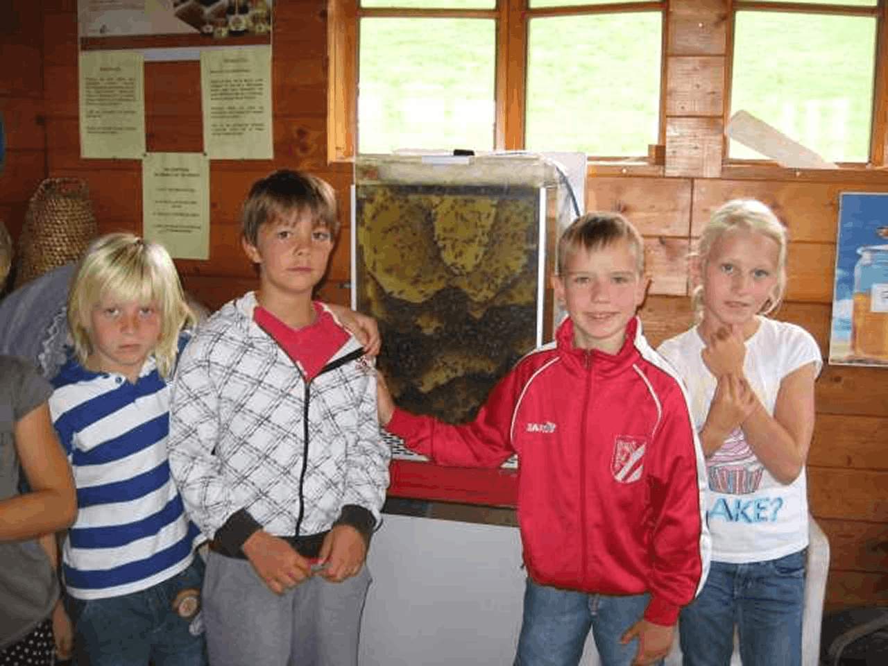 Vier Kinder stehen in einem Bienenlehrraum neben einem gläsernen Schaubienenstock und beobachten die Bienen beim Wabenbau.